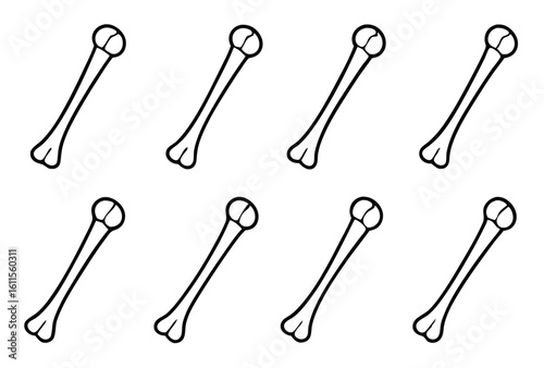humerus upper arm line art biological diagram explanation
