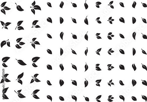 leaves and leaves in various shapes
