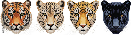 Set of four big cat portraits tiger, leopard, cheetah, and black panther illustration
