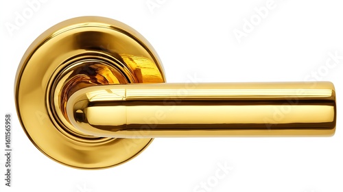 Polished gold door handle with circular base.