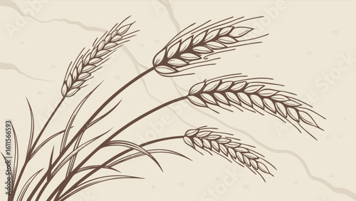 Illustration of wheat stalks with detailed grains and leaves on a textured beige background design element