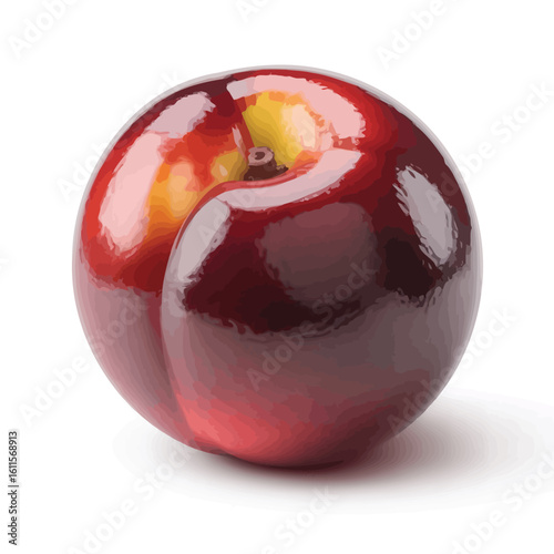 Vector illustration of a ripe red plum with highlights and shadow on white background