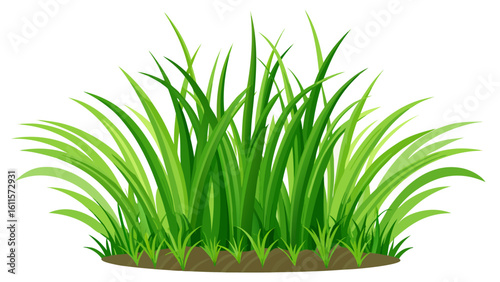 Vector art of a lush clump of vibrant green grass with delicate blades and small sprouts, isolated on a clean white background