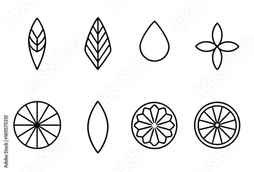 infusion sets line art modern illustration