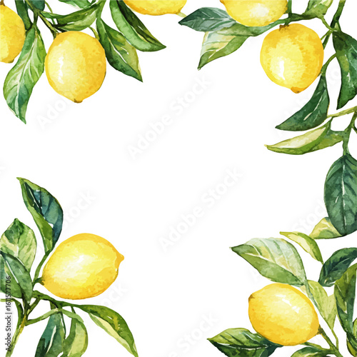 Watercolor hand-painted spring foliage frame with lemon tree leaves painting illustration isolated on a white background, stinging nettle leaf illustration, AI painting design