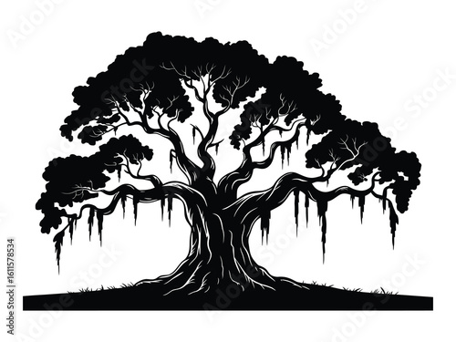  Oak Tree Silhouette with Spanish Moss