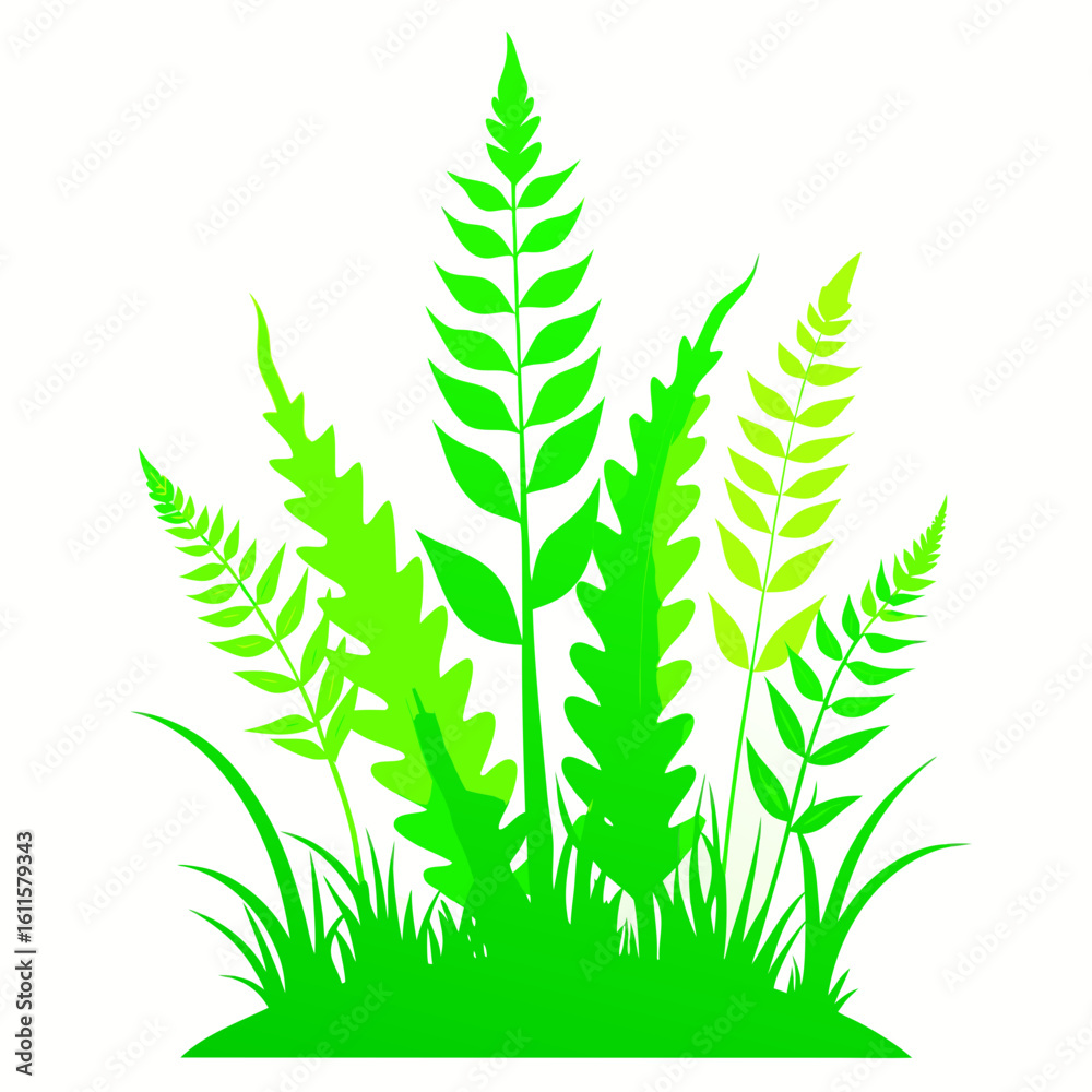 Obraz premium green leaves isolated on white