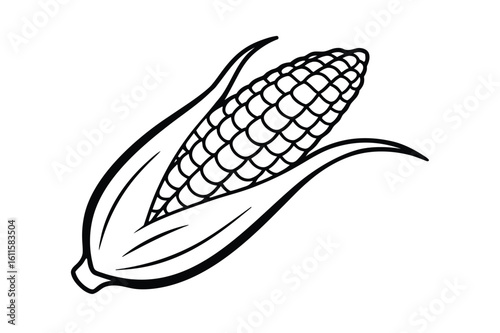 Hispanic heritage month vector art of a fresh ear of corn with green husks line art vector