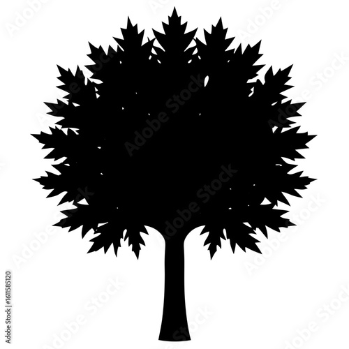 Vector art of a black silhouette of a deciduous tree with distinctive maplelike leaves on a white background