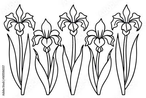 iris blossom glowing through simple line art