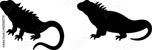 Black iguana set, Set of iguana, iguana collection, Vector of iguana standing animal, iguana silhouette, black iguana isolated on white background