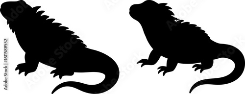 Black iguana set, Set of iguana, iguana collection, Vector of iguana standing animal, iguana silhouette, black iguana isolated on white background