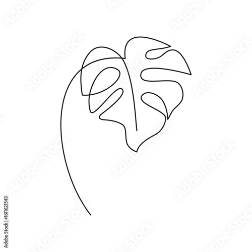 monstera flower one line. Vector drawing.
