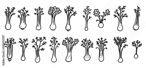 set of different types of vegetables and flowers