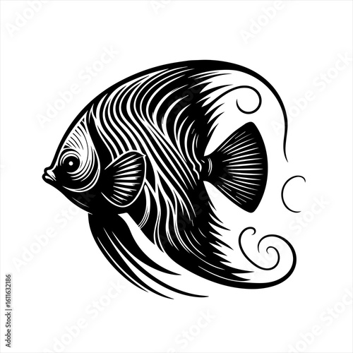Ornate angelfish illustration