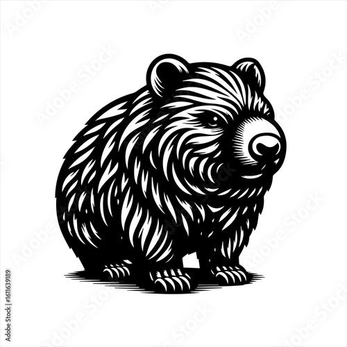 Cute wombat illustration