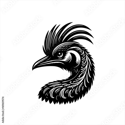 Emu bird head profile