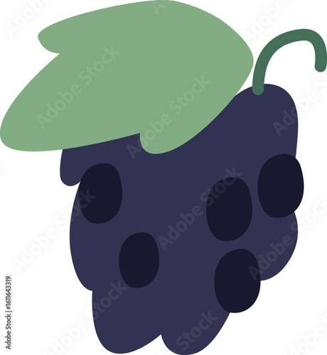 Bunch of grapes with leaf