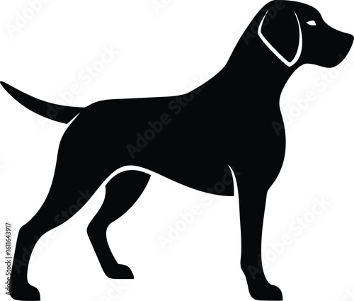 Pointer dog silhouette standing with extended tail vector illustration for hunting breed artwork
