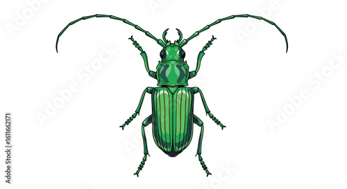 Detailed illustration of a striking emerald green longhorn beetle with distinctive antennae and segmented body