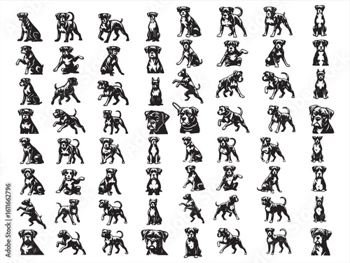 Boxer Dog Clipart Set – Vintage Black and White Dog Poses and Expressions Collection