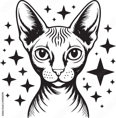 Sphynx Cat Portrait Vector Illustration with Stars in Monochrome Style