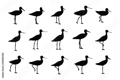 Silhouette of Black-Winged Stilt: A set of stylized black-winged stilt silhouettes is showcased on a clean backdrop, which is a classic demonstration of the minimalist theme. 
