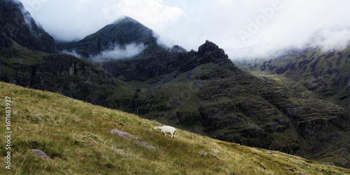 Serene landscape featuring a single sheep amidst breathtaking mountain scenery, the atmosphere is one of tranquility and grandeur.