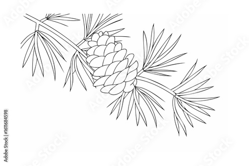 Pine cone with needles on branch pine needles nature