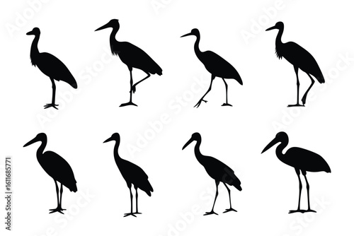 Silhouette of Stork: A sleek, photorealistic illustration showcases a variety of stork poses, against a minimalist backdrop, each silhouette conveying the grace and elegance of these majestic birds.