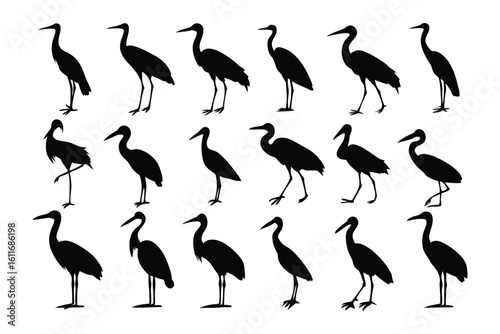 Silhouette of herons: A collection of elegant heron silhouettes, perfectly captured, ready to enhance any creative project with a touch of nature's grace.