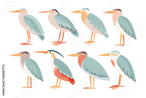 Watercolor Heron: A colorful series of watercolor heron, beautifully illustrated, standing tall. The artwork style emphasizes clean lines and a harmonious palette.