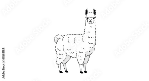 A charming hand drawn illustration of a standing fluffy llama with gentle eyes and detailed fur texture in black and white tones
