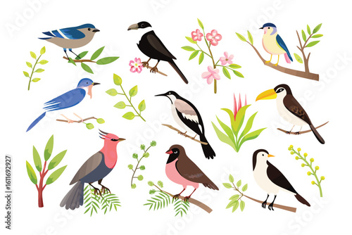 Illustrative Avian Assemblage: A vibrant collection of bird illustrations showcases a variety of species perched amidst lush foliage, each portraying unique characteristics.