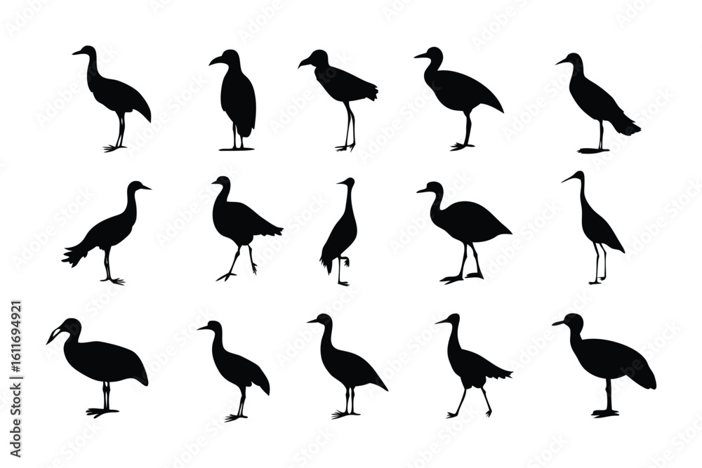 Obraz premium Avian Silhouette Collection: A collection of diverse avian silhouettes, each meticulously captured against a monochrome backdrop. Depicting a variety of poses.