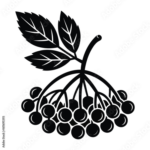 Black silhouette of a cluster of berries with leaves on a white background berry fruit 1