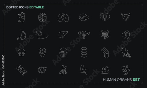 Human Organs