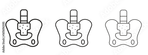 Pelvis icons. Outline or line icon design bundle.