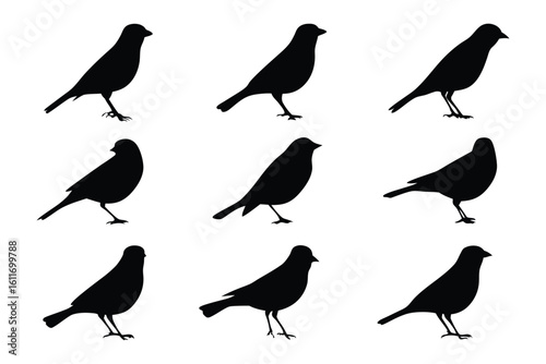 Bird Silhouette Collection: A collection of nine meticulously crafted bird silhouettes, presented in a sleek, monochromatic design, perfect for illustrating concepts of nature, fauna.