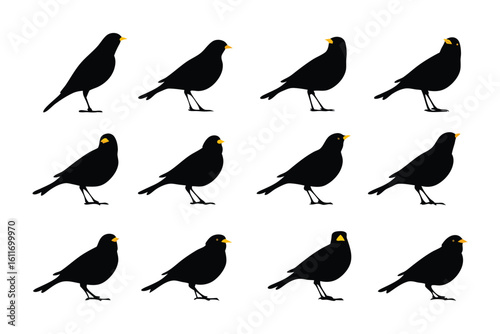 Elegant Silhouette: A dozen black birds showcasing grace and charm, captured in a clean, contemporary illustration against a simple backdrop.