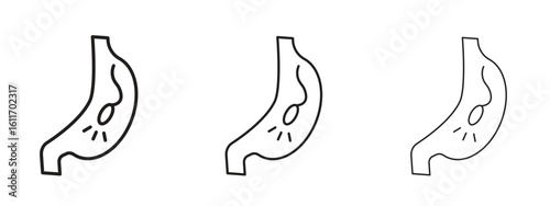 Endoscopy icons. Outline or line icon design bundle.