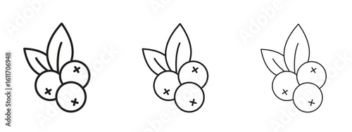 Blueberry icons. Outline or line icon design bundle.