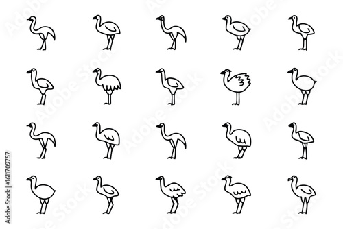 Struthio Camelus Icon Set: A collection of meticulously crafted illustrations of the Struthio Camelus. perfect for use in design projects or educational materials.