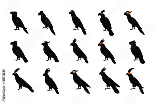 Black Cockatoos Silhouettes: A collection of black cockatoo silhouettes, isolated in a minimalist style, showcasing the elegant form of the iconic bird.