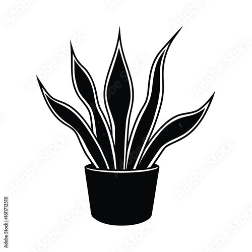Snake Plant Glowing Brightly Under UV Light