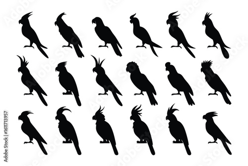 Shadowed Avian Silhouettes: A collection of sleek black cockatoo silhouettes, elegantly arranged, offer a modern artistic flair and can add a touch of elegance.