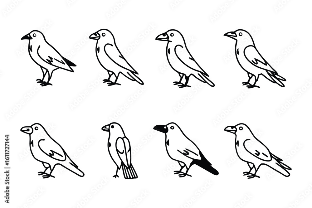 Fototapeta premium Black Bird Lineup: A series of eight detailed illustrations of black birds in various poses, offering a graphic resource suitable for design projects.