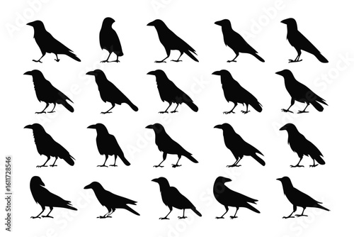 Raven Silhouettes Composition: A striking array of raven silhouettes, precisely arranged to form a powerful visual statement, the birds' dark forms and poses exude an aura of mystery and elegance.