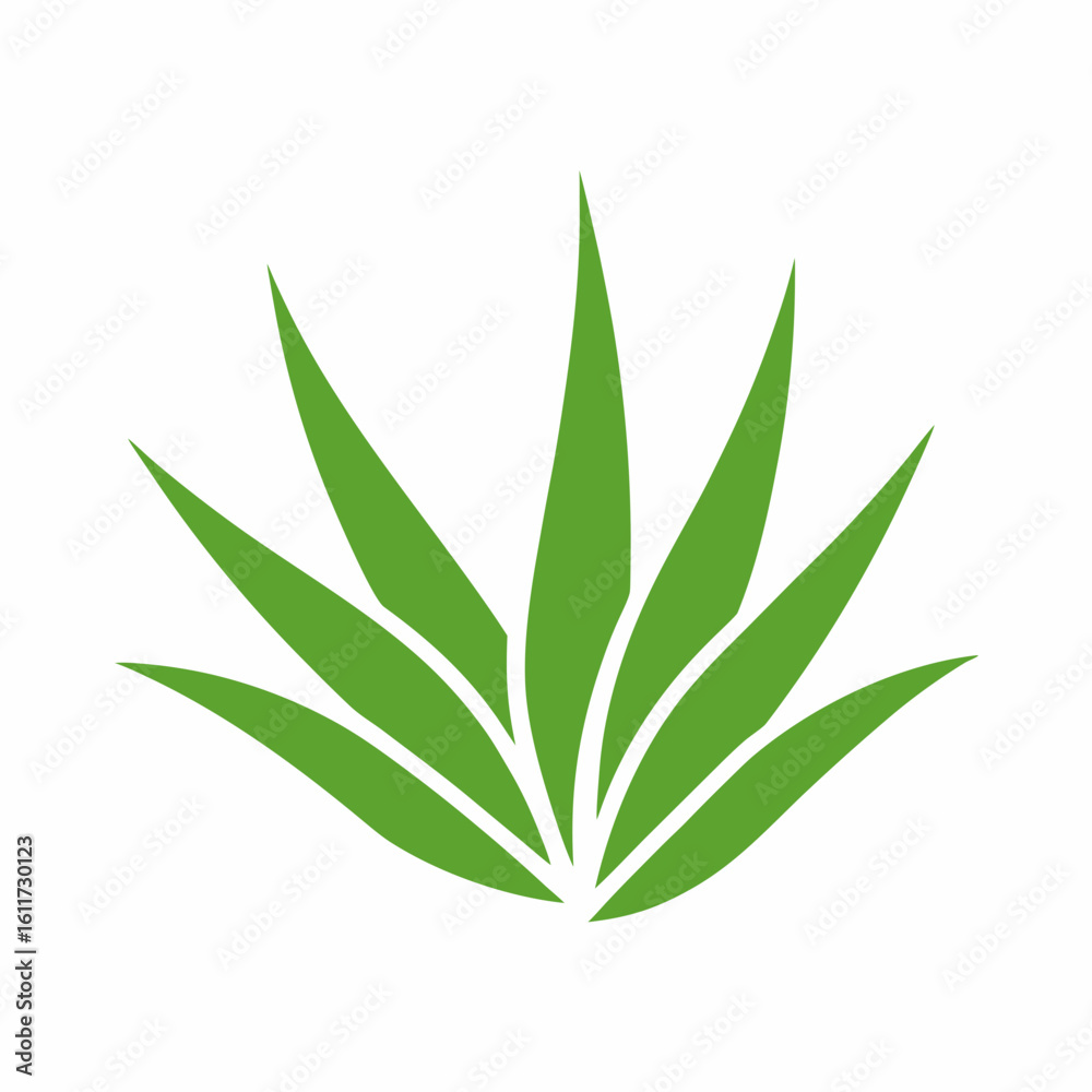 Fototapeta premium Aloe Vera Plant Vector Icon for Herbal and Skincare Design.