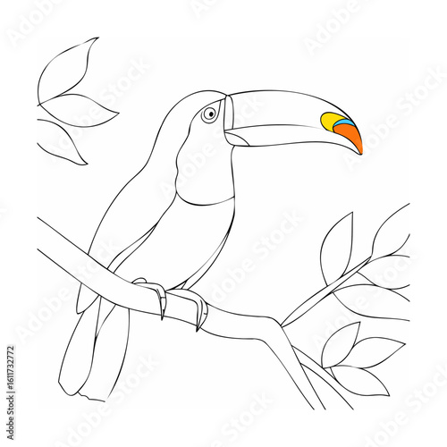 Toucan perched on a branch with colorful beak bird